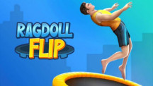 Ragdoll Flip img